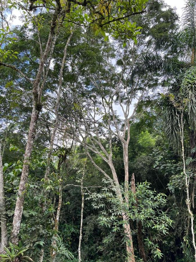 Sitio Serenar Chales Equipados Penedo  Dış mekan fotoğraf