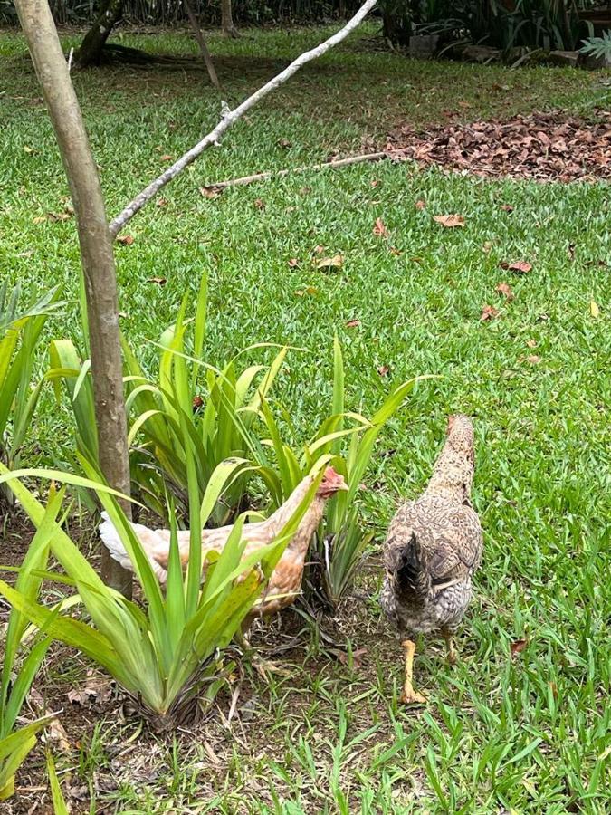 Sitio Serenar Chales Equipados Penedo  Dış mekan fotoğraf